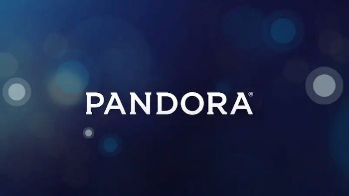 Pandora Plus Overview